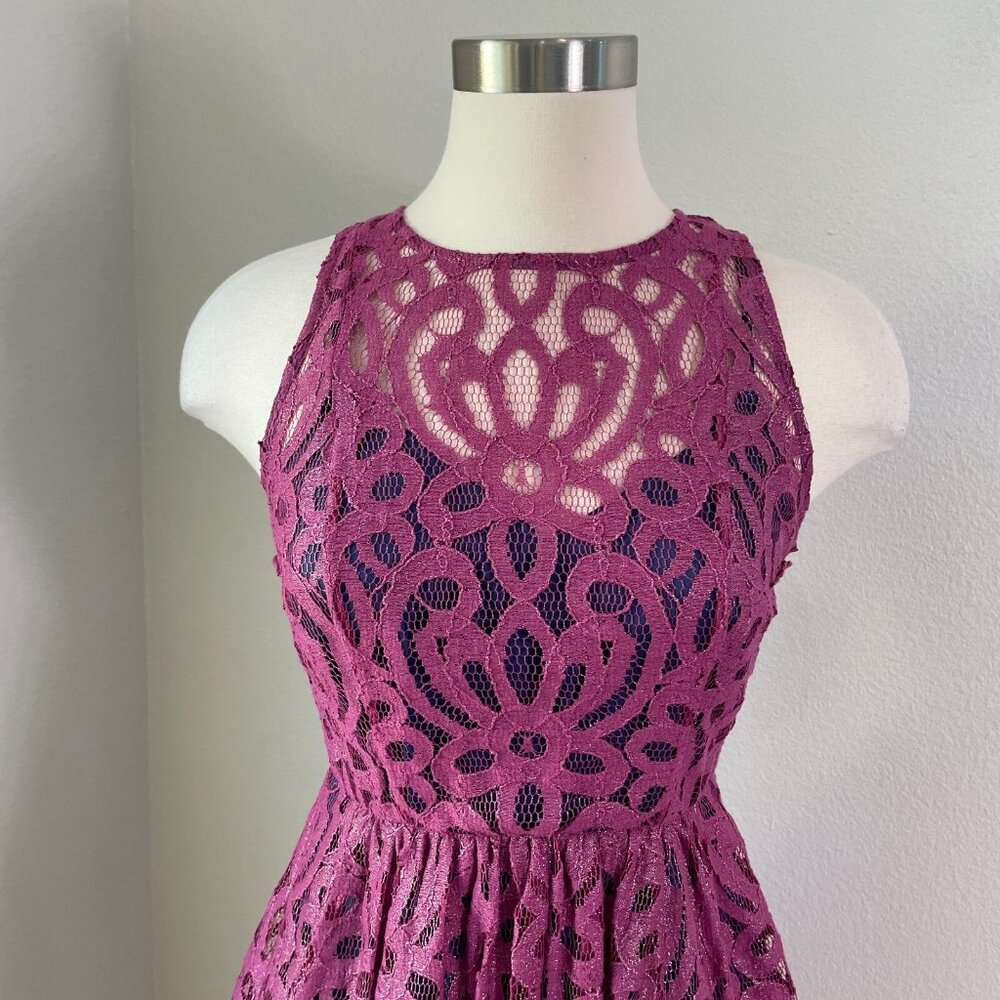 NEW Anthropologie Frock Tracey Reese Womens 2 Metallic Lace Fit Flare Dress - Picture 3 of 11